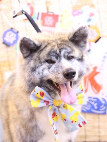 20240723むぎくん